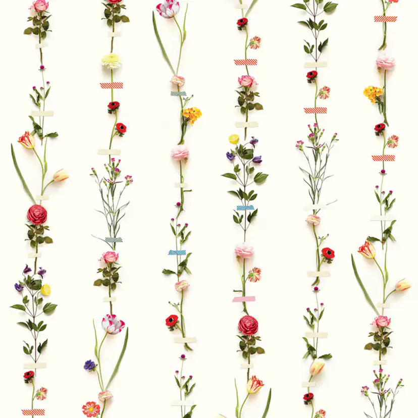 Fototapet Eijffinger PIP 2014 341087