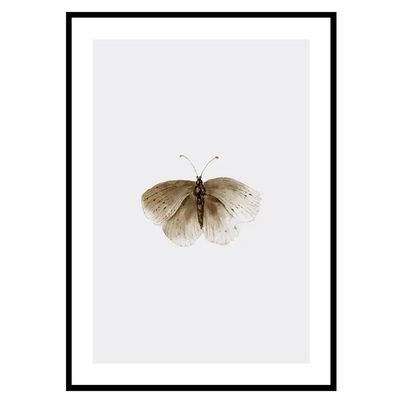 Poster Gallerix Watercolor Butterfly