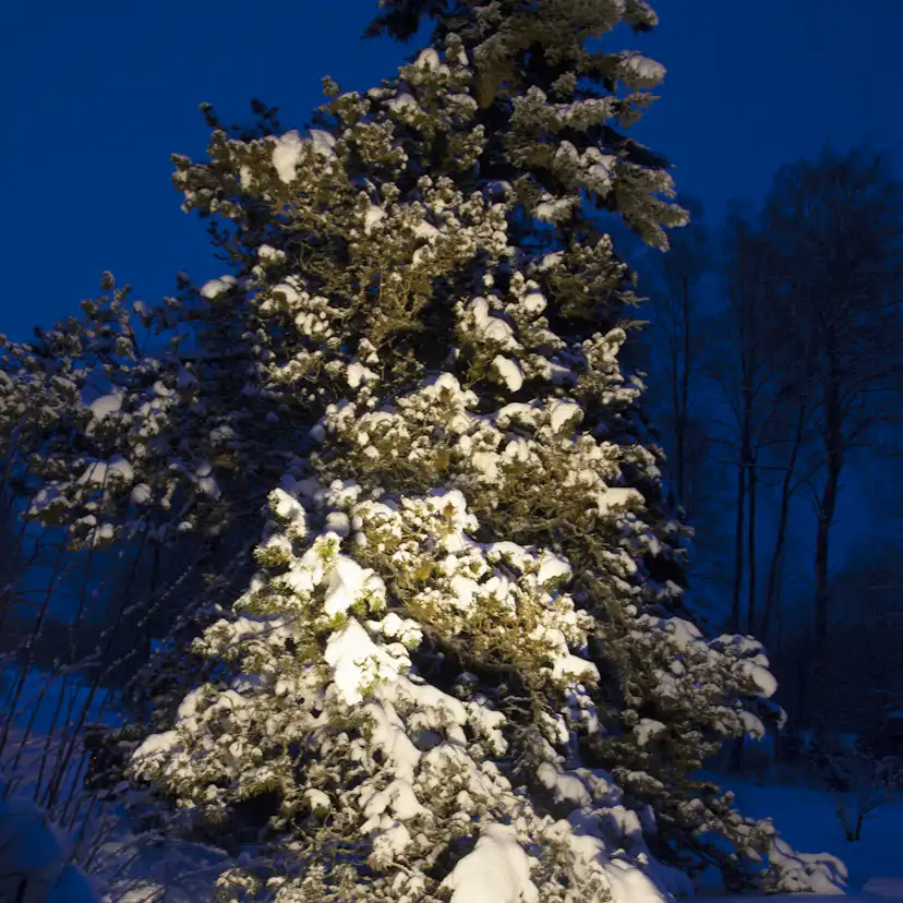 LED-lampa Star Trading E27 PAR38 Spotlight Outdoor Svart