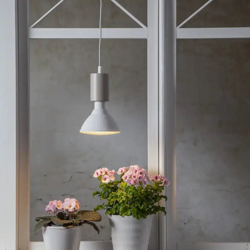 LED-lampa Star Trading E27 PAR38 Plant Light Varmvit