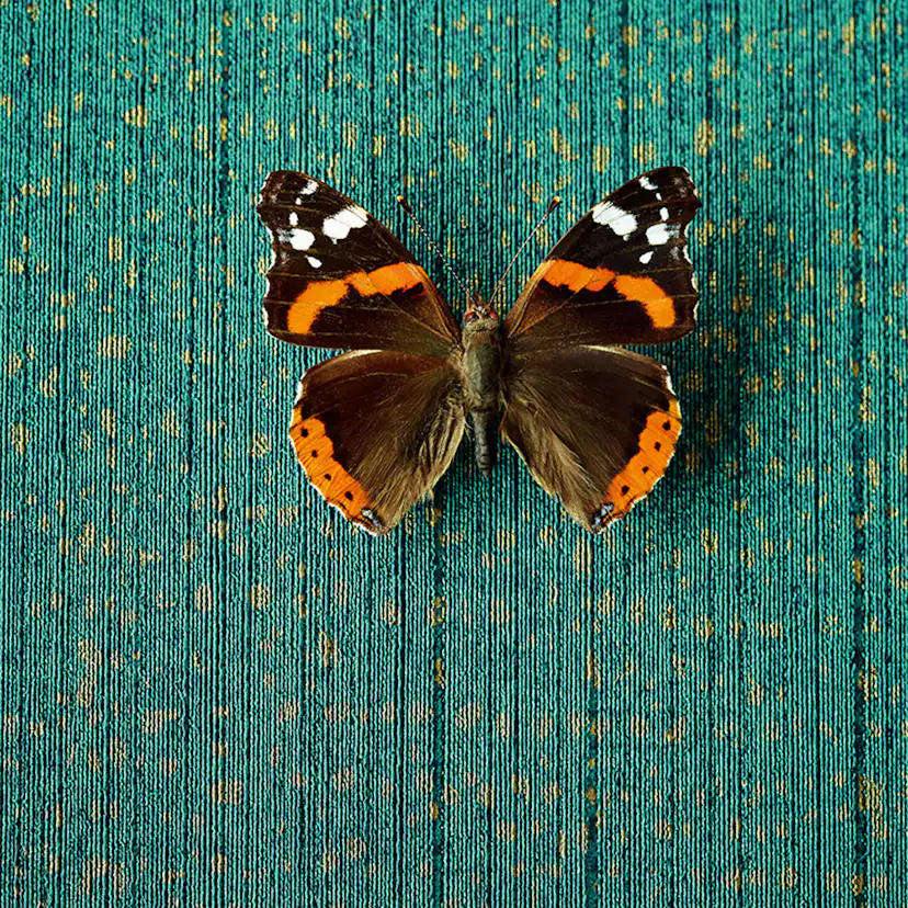 Tapet Eijffinger Masterpiece 358061