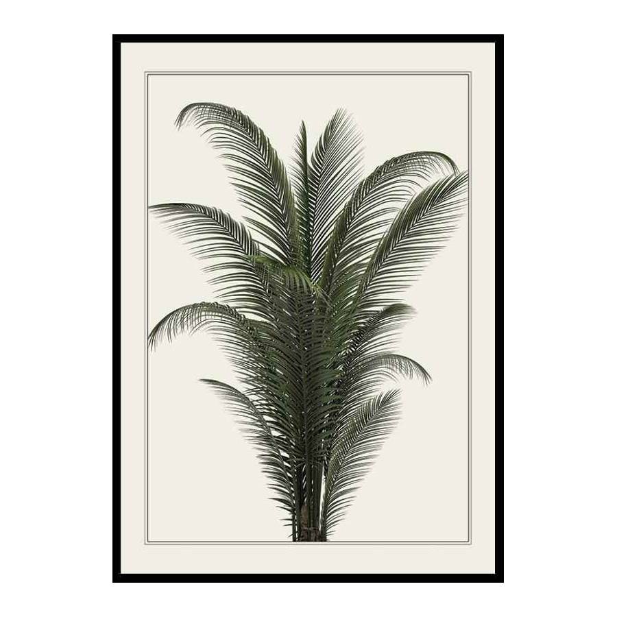 Poster Gallerix Palm Tree