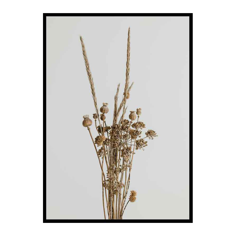 Poster Gallerix Dried Bouquet