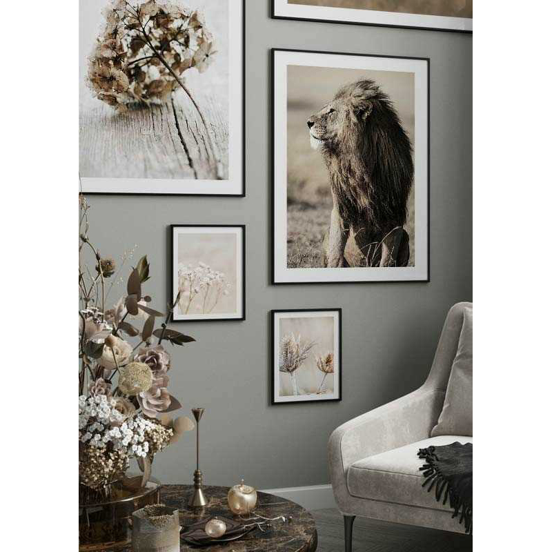 Poster Gallerix Lion In Profile