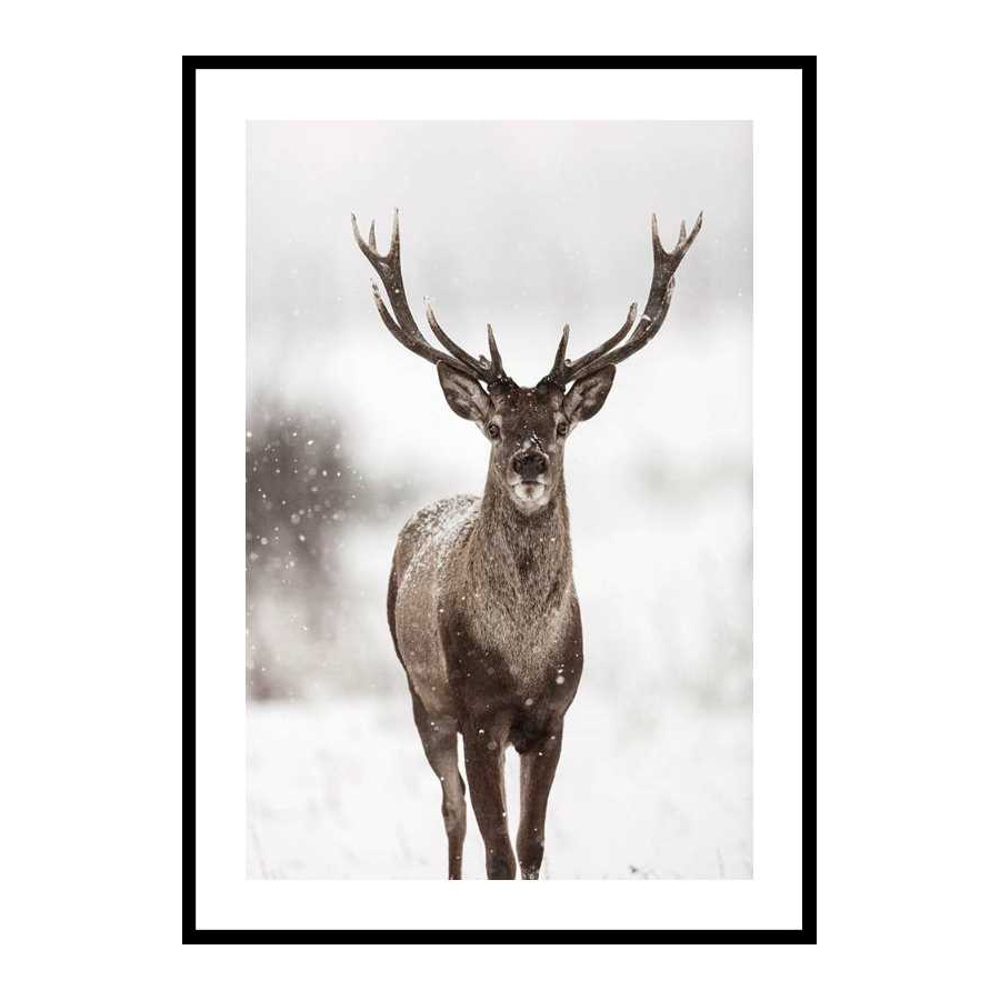 Poster Gallerix Majestic Red Deer