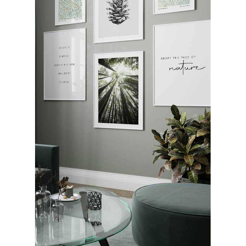 Poster Gallerix Bamboo Forest