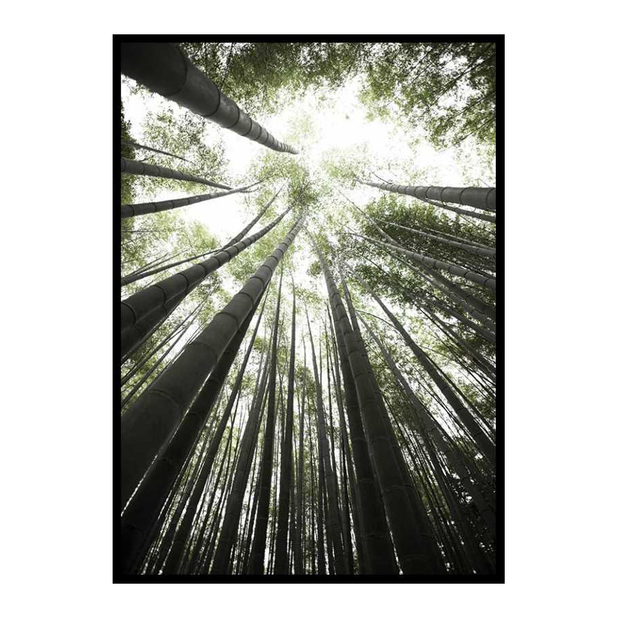 Poster Gallerix Bamboo Forest