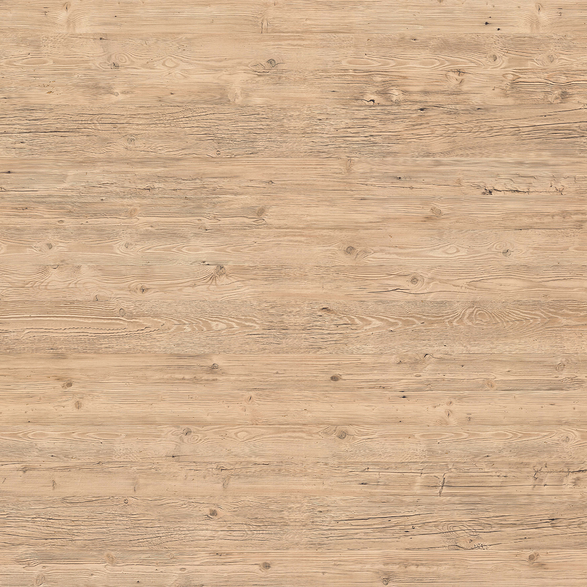 Väggskiva Decowall Ljus Gran TG4