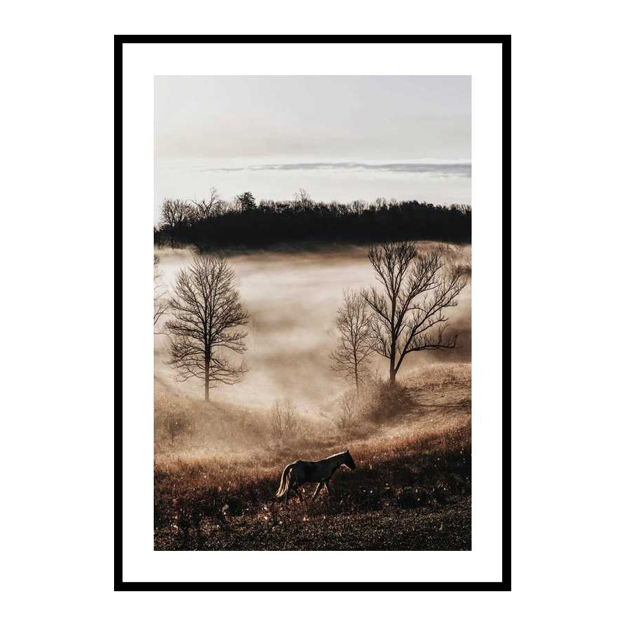 Poster Gallerix Horse In Sunset