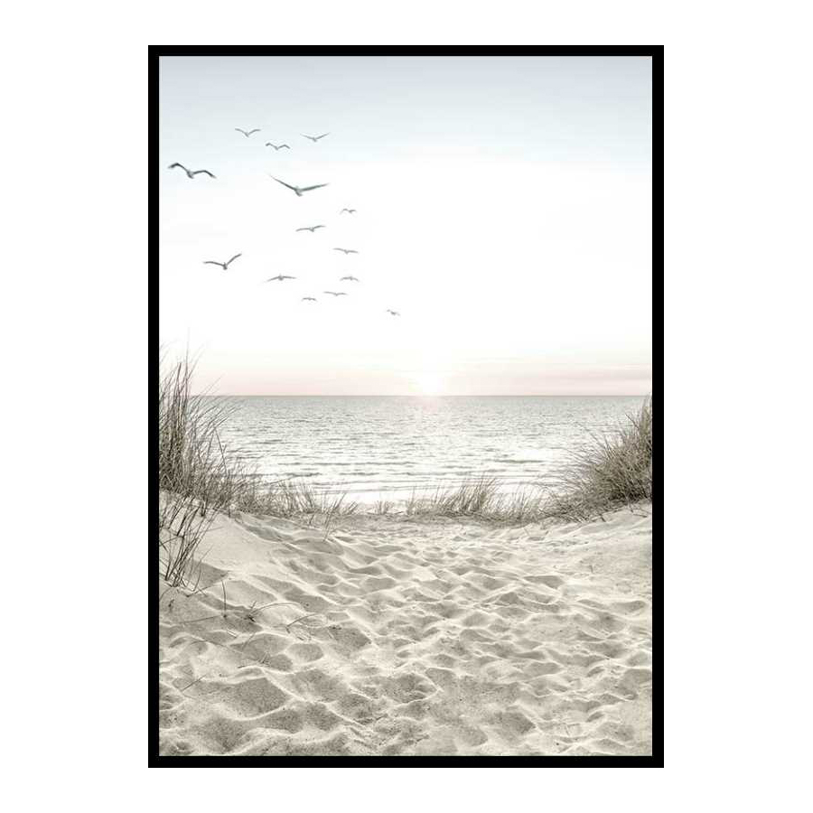 Poster Gallerix Seagulls Sandy Beach
