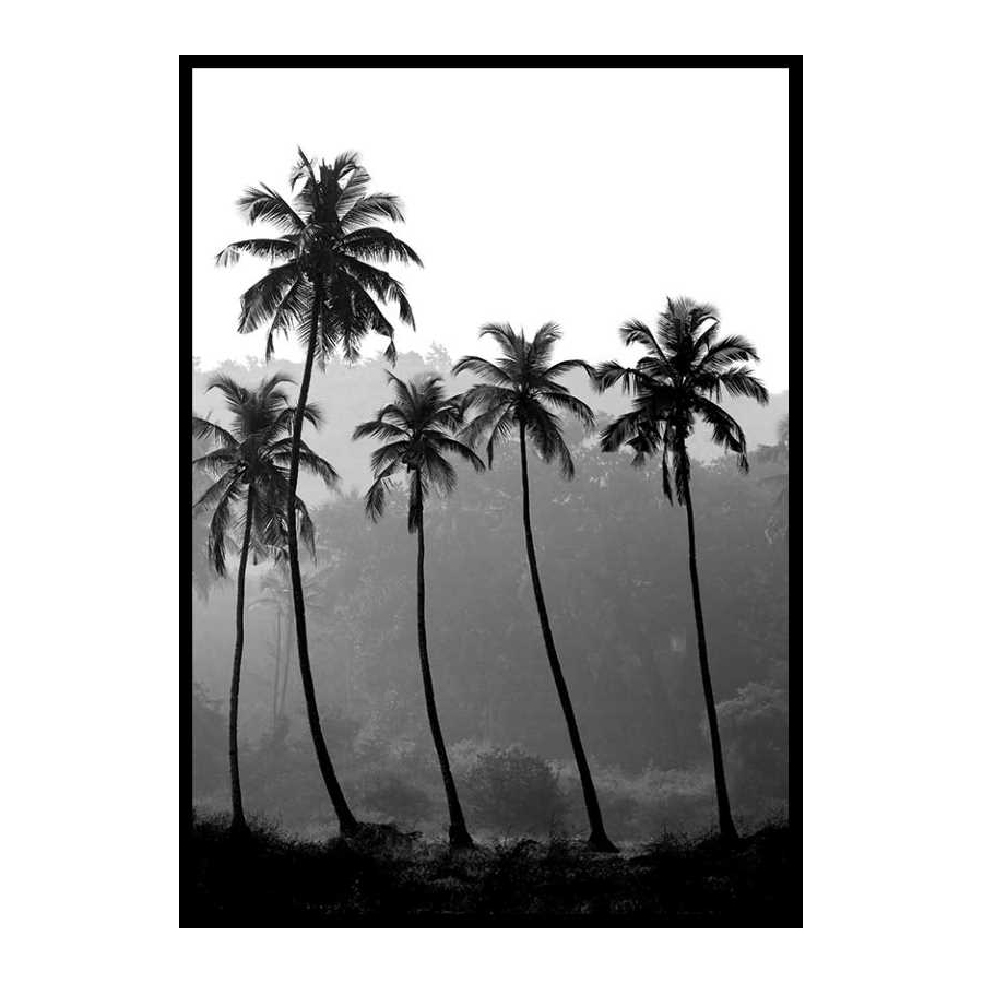 Poster Gallerix Palms