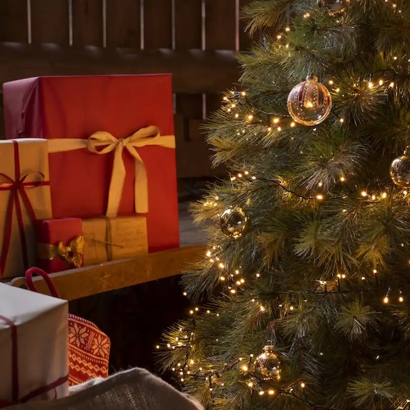 Ljusslinga Gnosjö Konstsmide Cluster Frost Topp