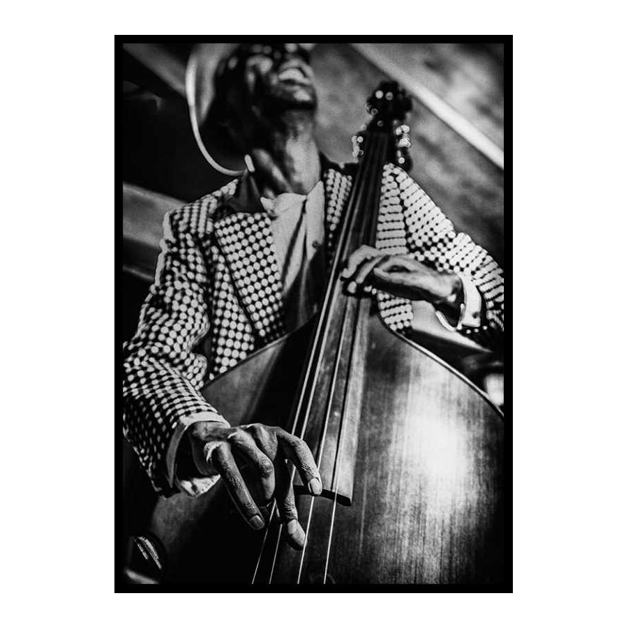 Poster Gallerix Musician On Bass