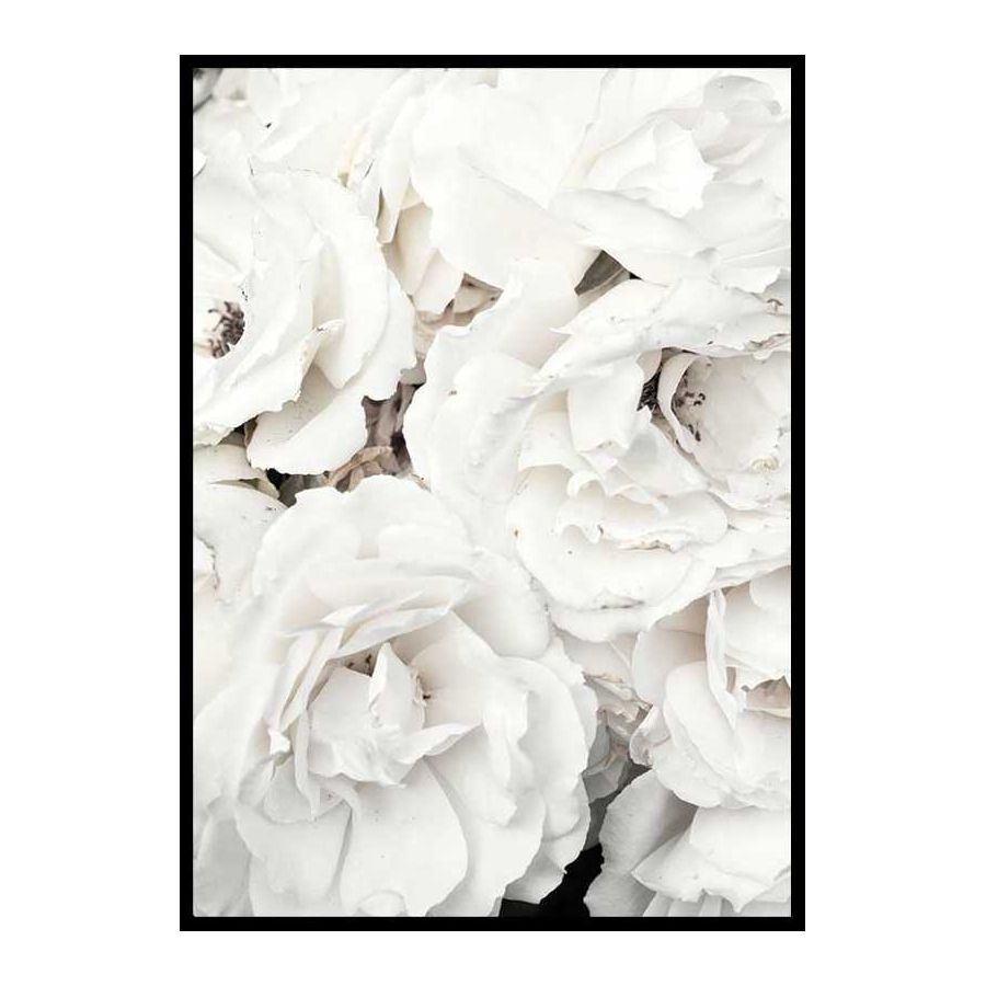 Poster Gallerix Bouquet Of White Peonies
