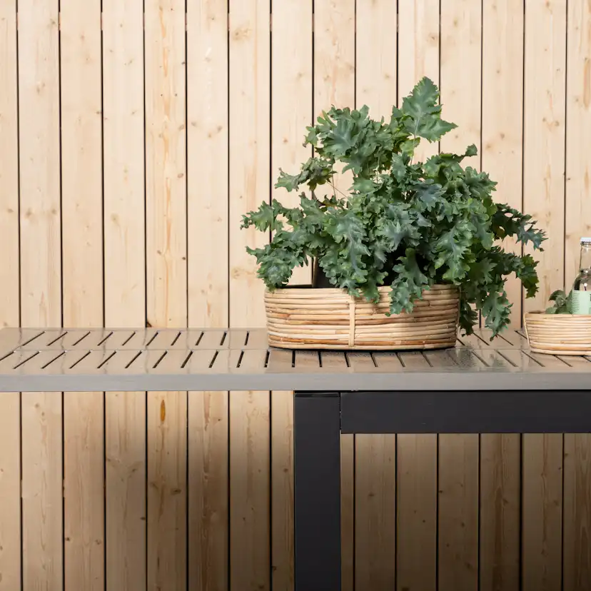 Matbord Utomhus Venture Home Albany 224-324