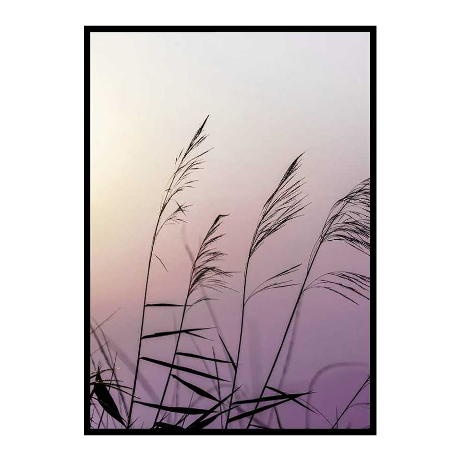 Poster Gallerix Weeds In Sunset