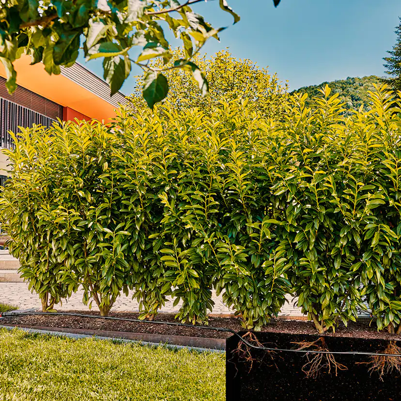 Droppslang Gardena Ovan och Under Jord 25 m