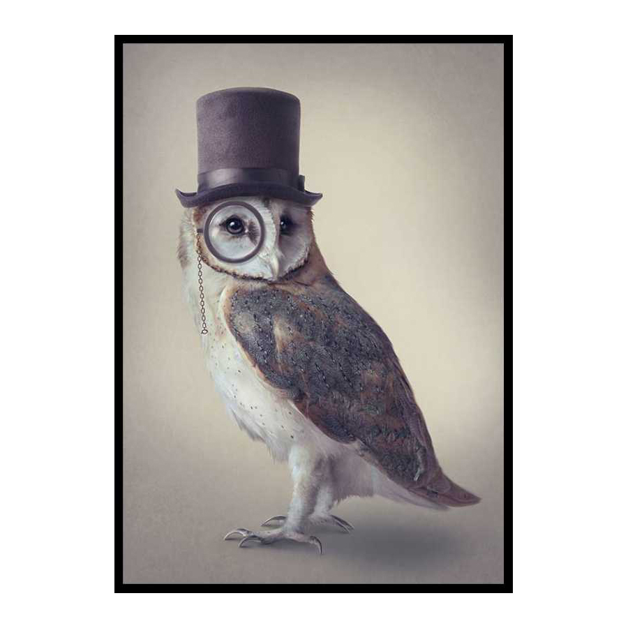 Poster Gallerix Potter Owl