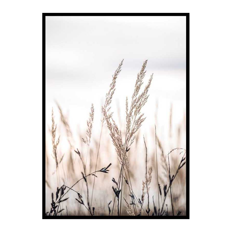 Poster Gallerix Sunset In The Field