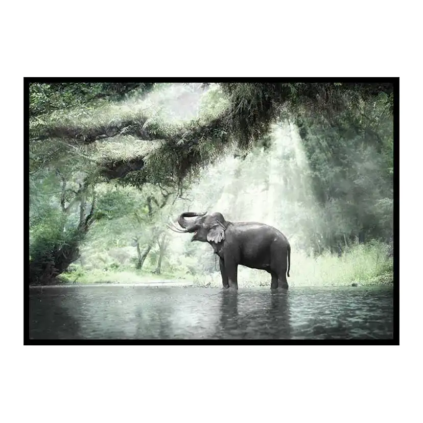 Poster Gallerix Elephant In Sunlight