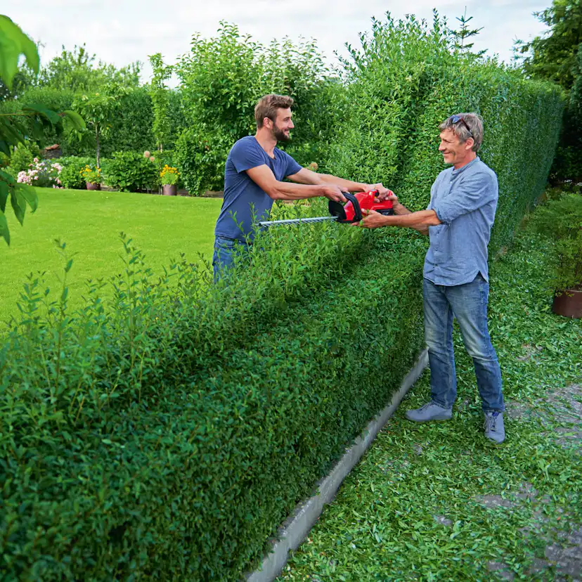 Häcksax WOLF-Garten Lycos 40/600 H inkl. Batteri
