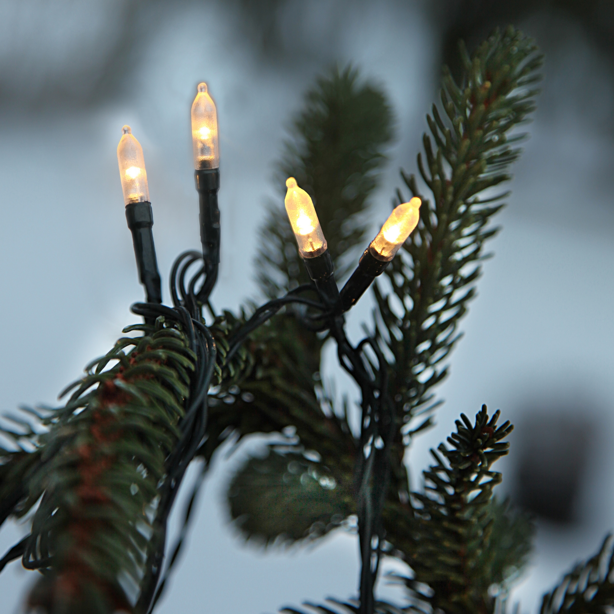 Ljusslinga Star Trading P-LED Outdoor