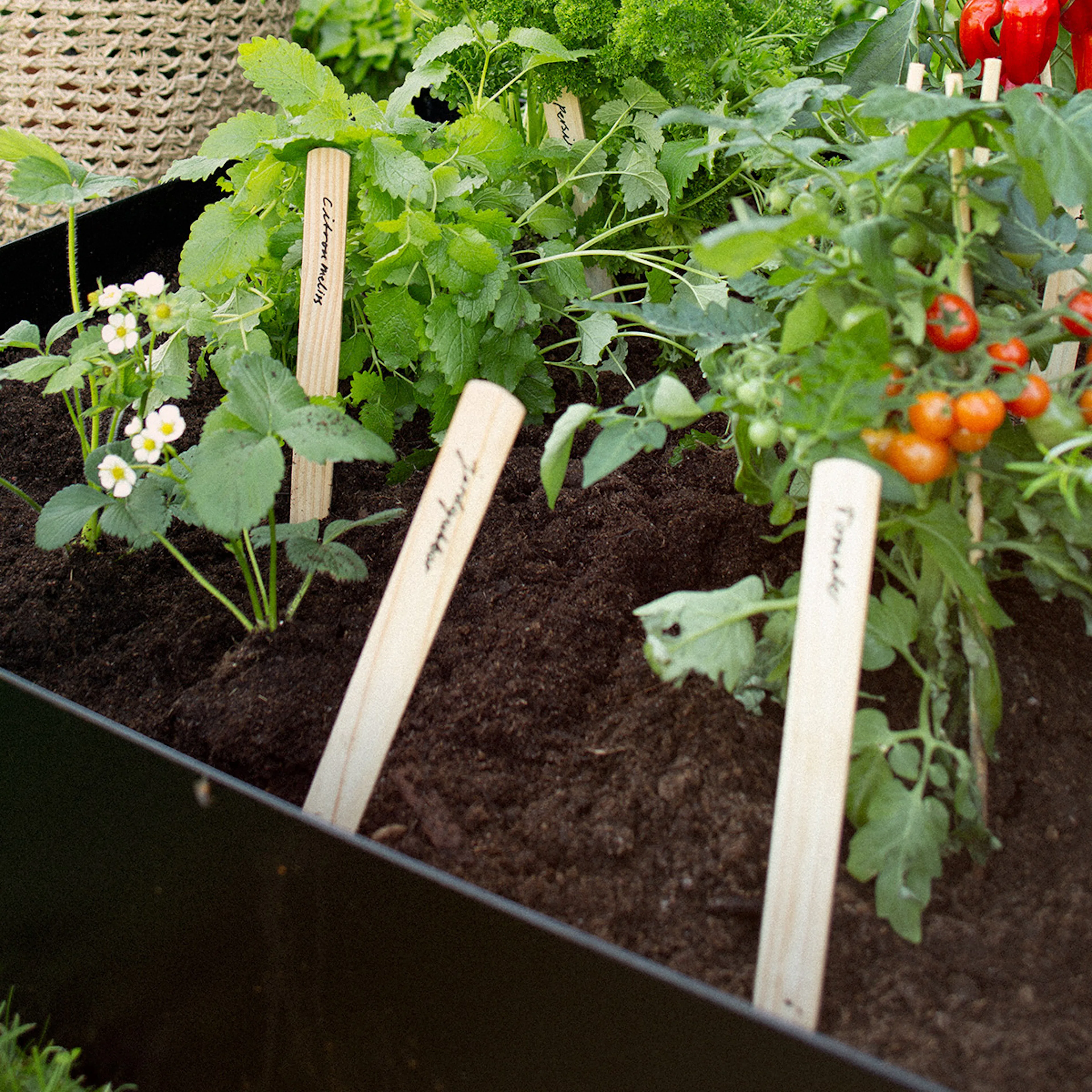 Odlingskrage Jabo Odla