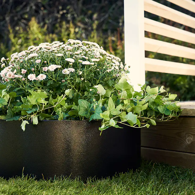 Odlingskrage Jabo Odla Rund