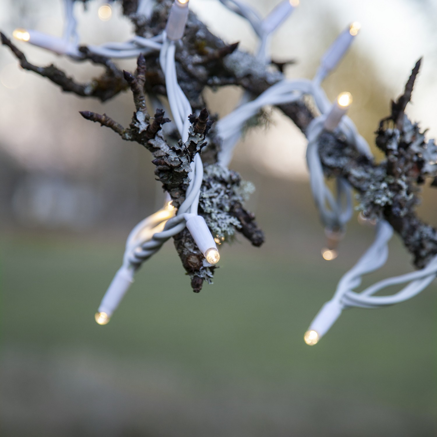 Ljusslinga Star Trading Extra System LED 50L Tillägg