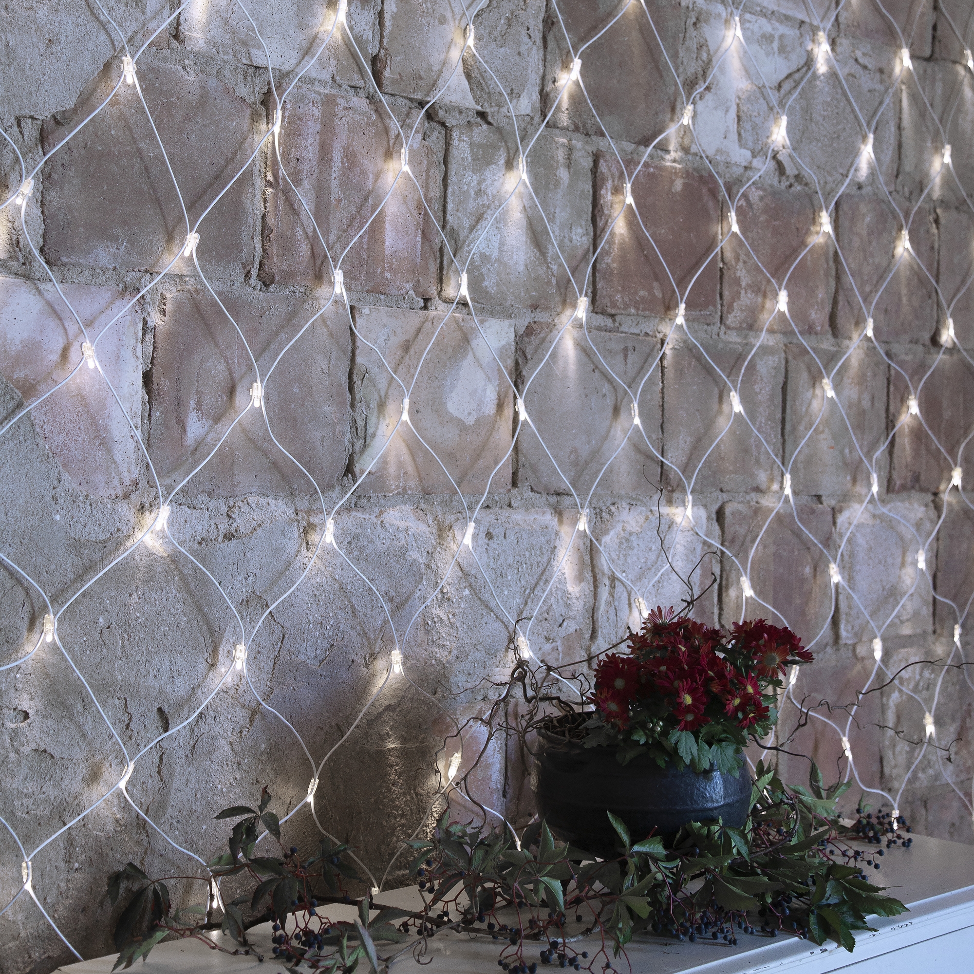 Ljusnät Star Trading Extra System LED 3 m Färg