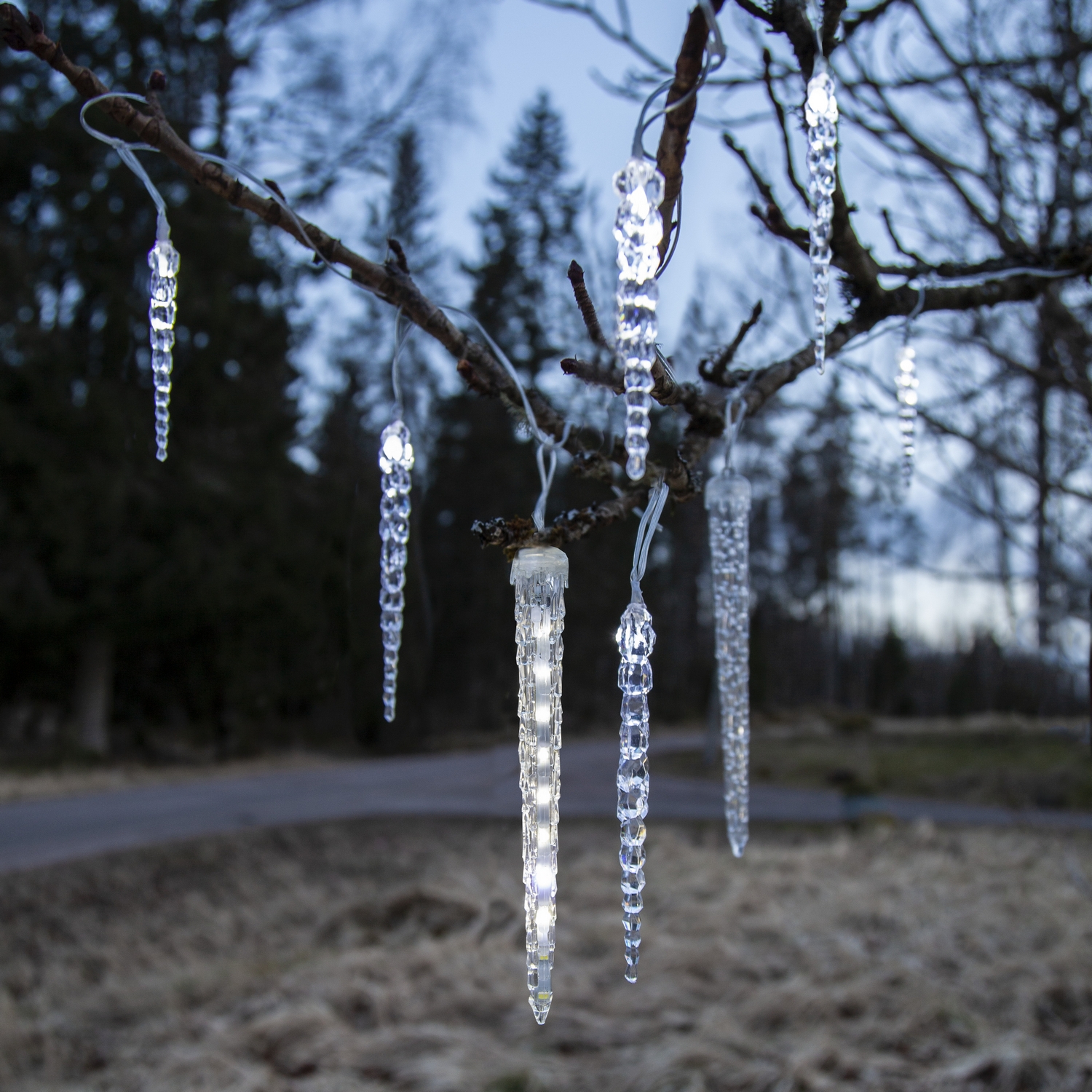 Istappsslinga Star Trading Gelido 24 st