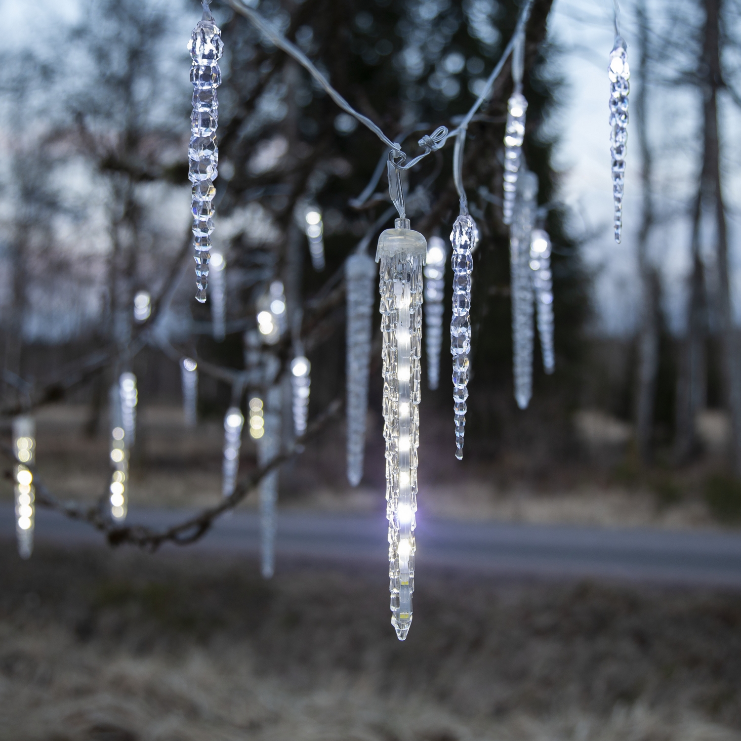 Istappsslinga Star Trading Gelido 24 st