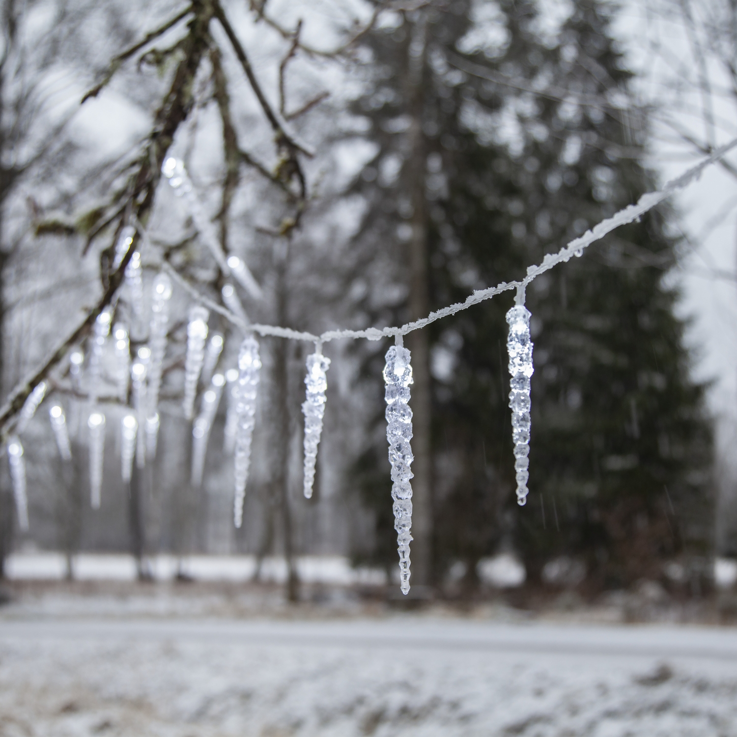 Istappsslinga Star Trading Gelido 50 st