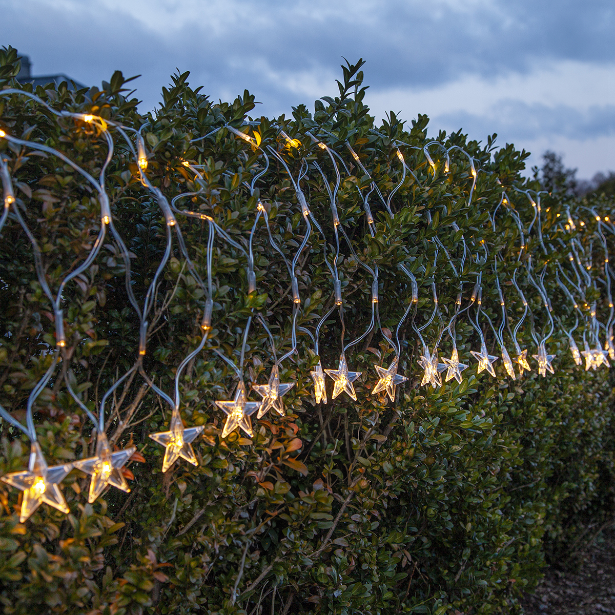 Ljusnät Star Trading Starnet LED 4,8m