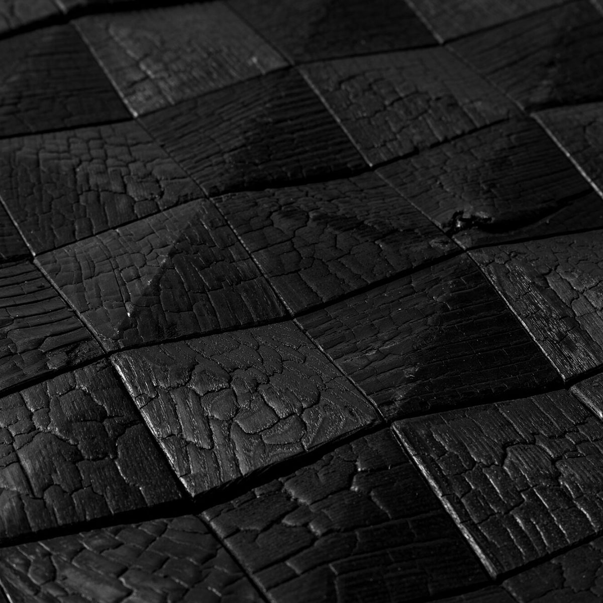 Väggpanel Emotionwood Kota 58