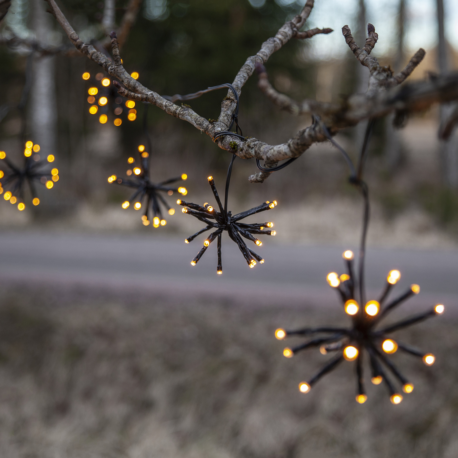 Ljusslinga Star Trading Flower Curtain 10L LED Utebelysning Svart 4m