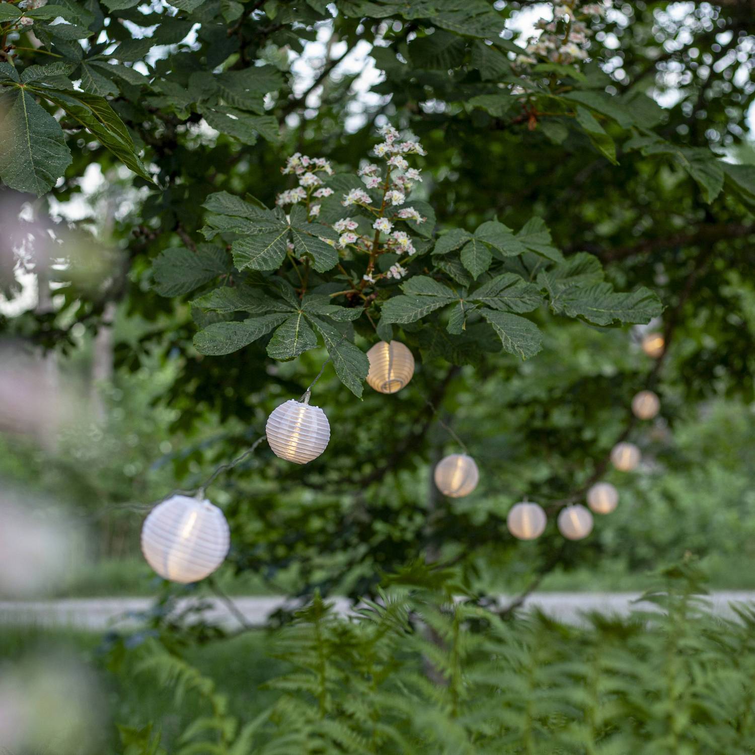 Ljusslinga Star Trading Festival 10st LED-ljuskällor