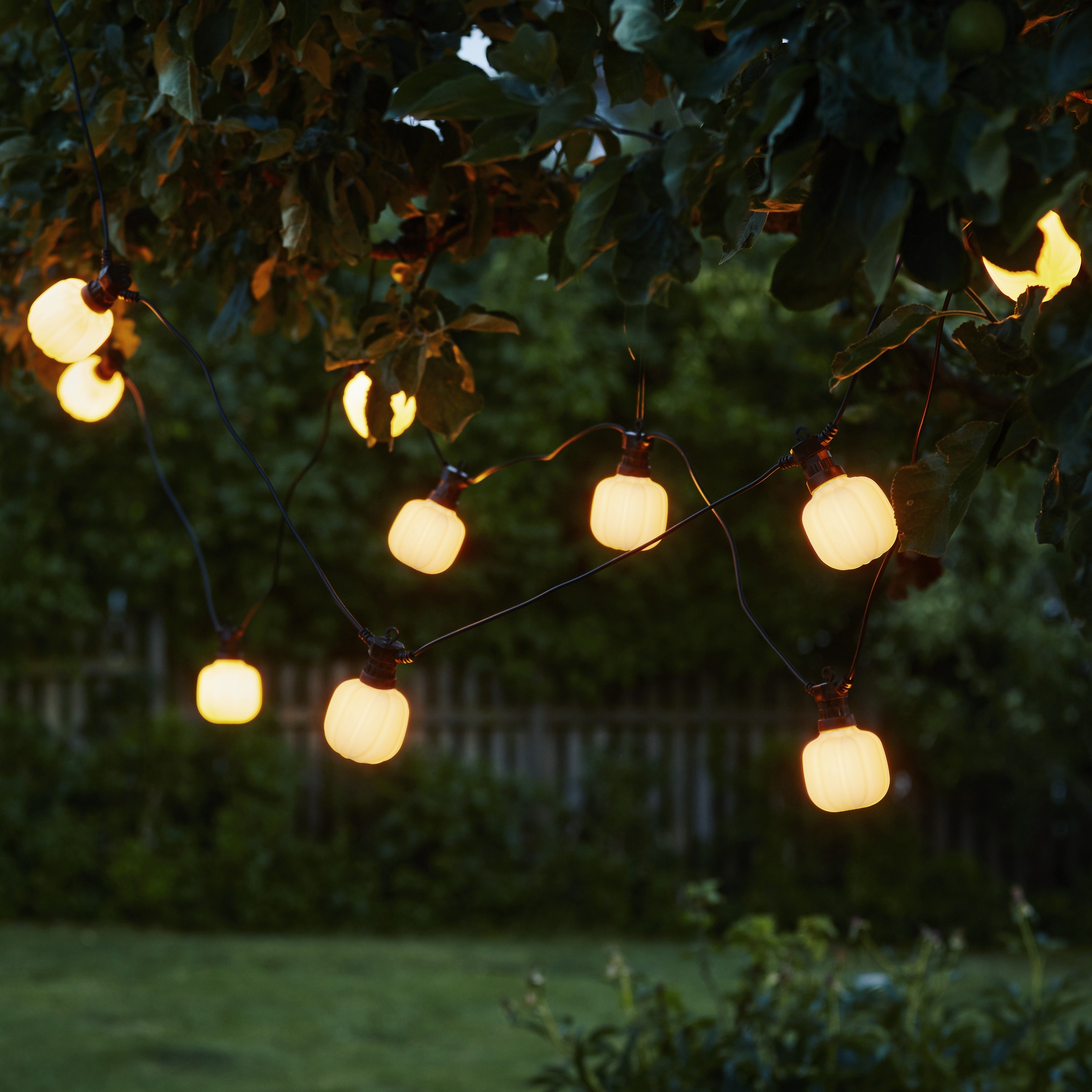 Ljusslinga Star Trading Circus Maxi