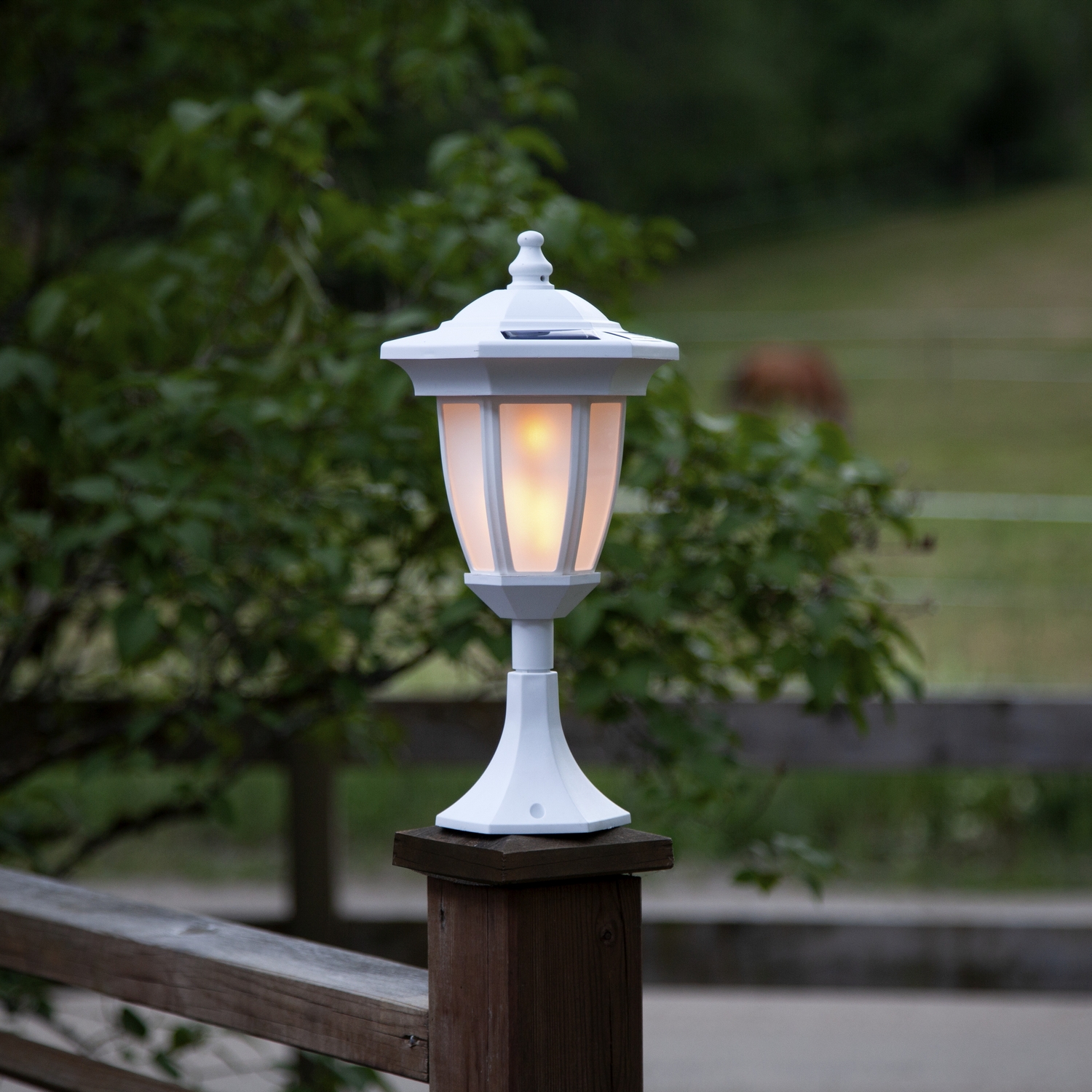 Solcellslykta Star Trading Flame