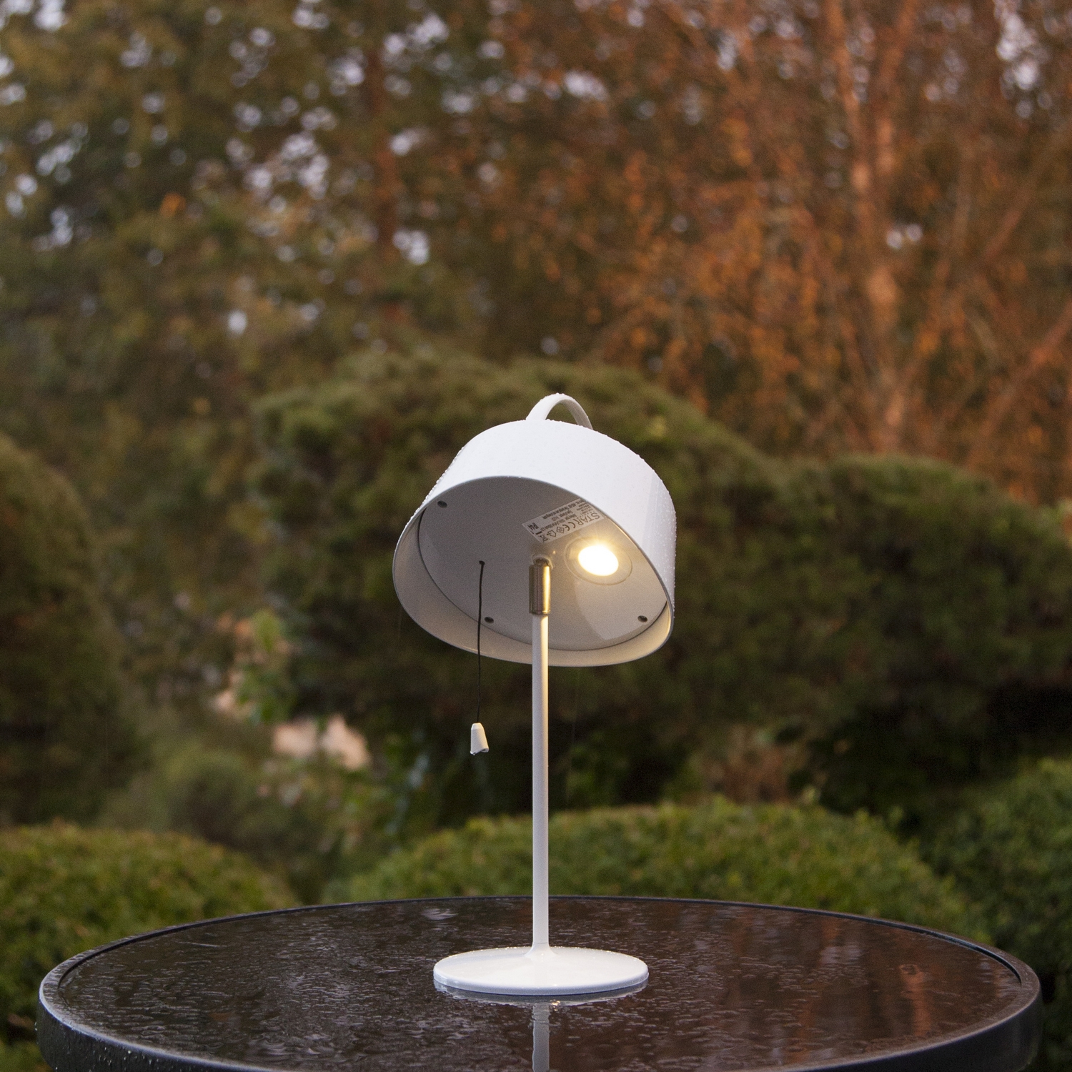 Solcellslykta Star Trading Cervia