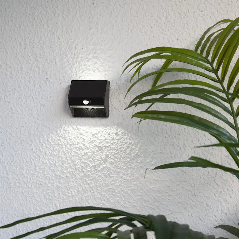 Solcells-Vägglykta Star Trading Wally 50/5 lumen