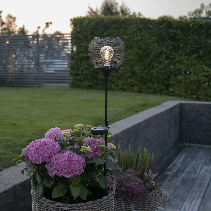 Solcellspinne Star Trading Sunlight Path