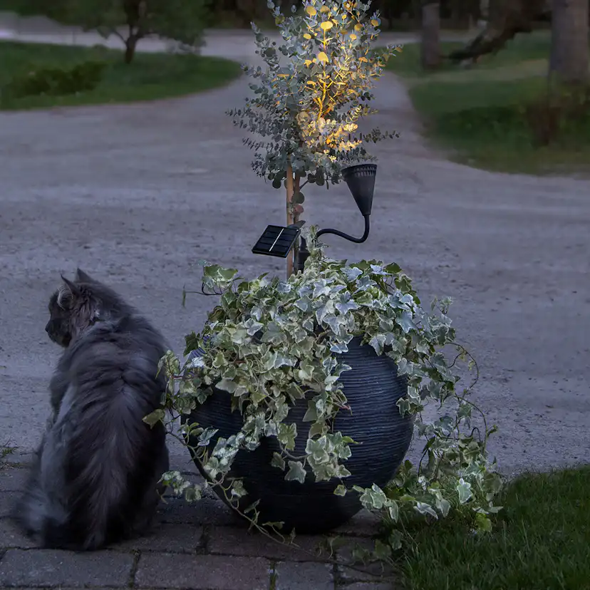 Solcell Spotlight Star Trading Powerspot LED 1st