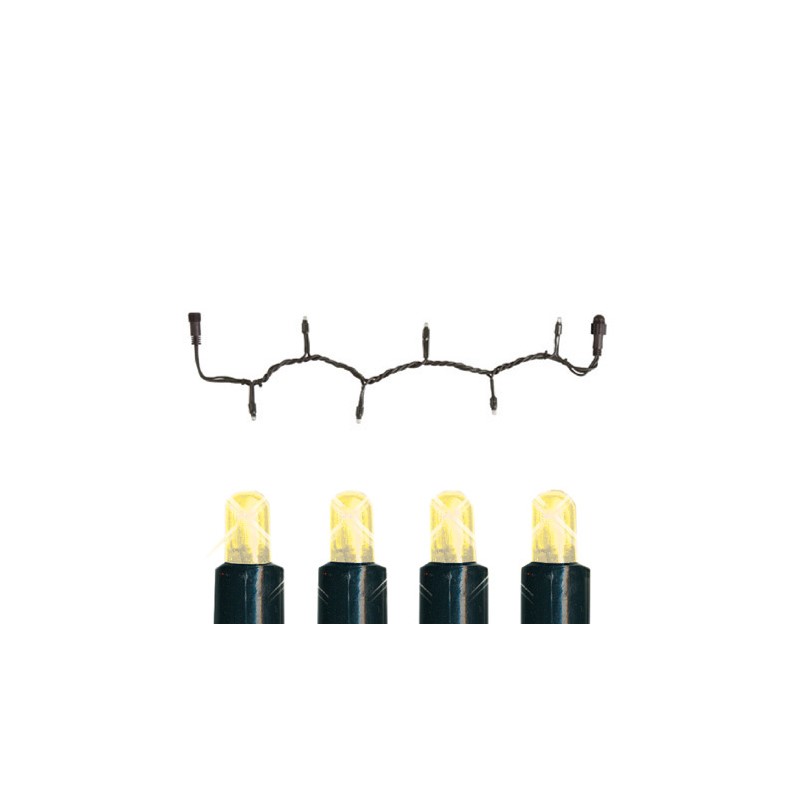 Ljusslinga Star Trading Start System Expo