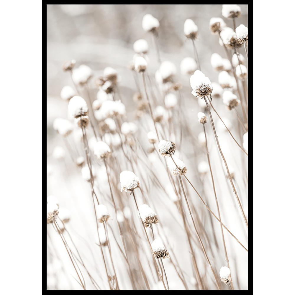 Poster Gallerix Snow Covered Dried Flowers