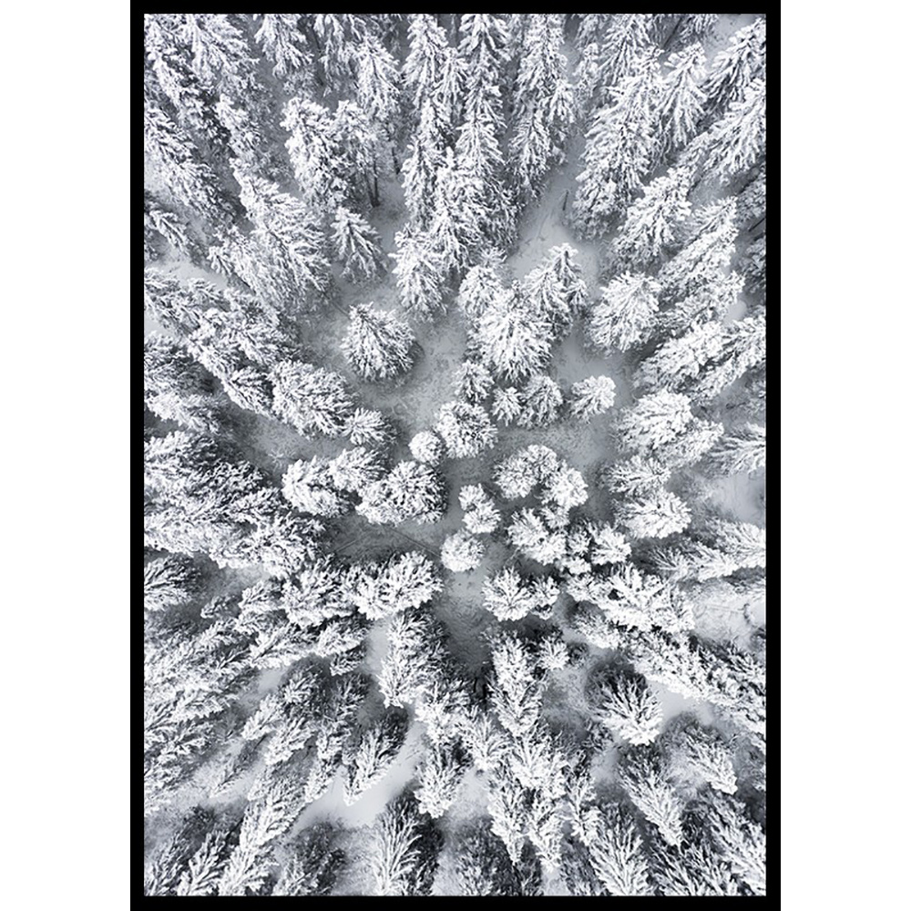 Poster Gallerix Snow Forest Aerial