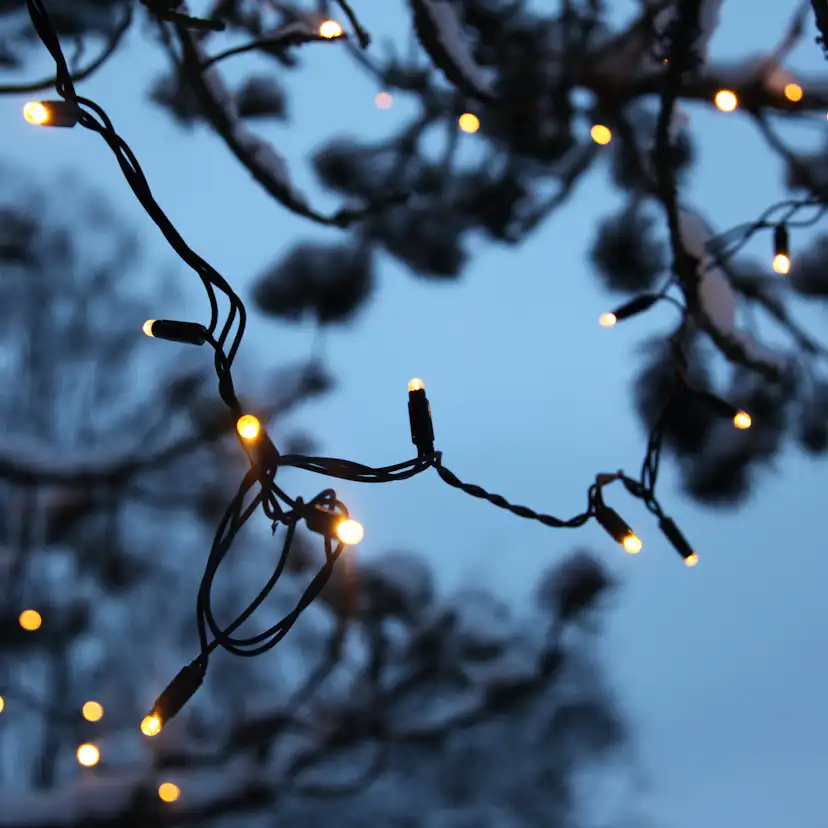 Ljusslinga Star Trading Extra System 24 98L LED Utebelysning Svart 10m