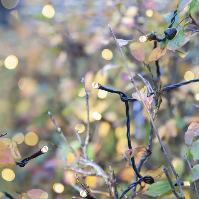 Ljusslinga Star Trading Extra System Decor 100L