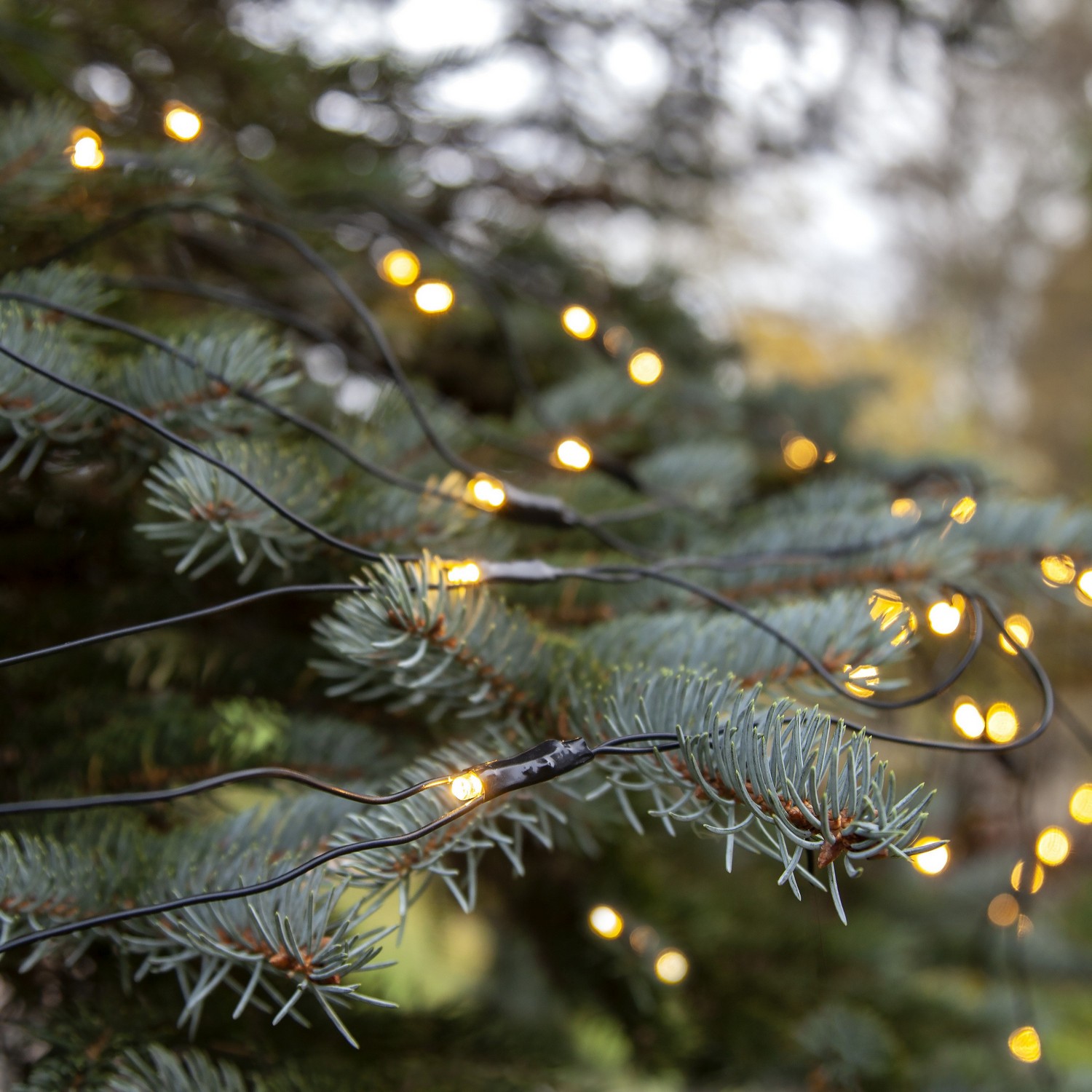 Ljusnät Star Trading Extra System Decor 100L