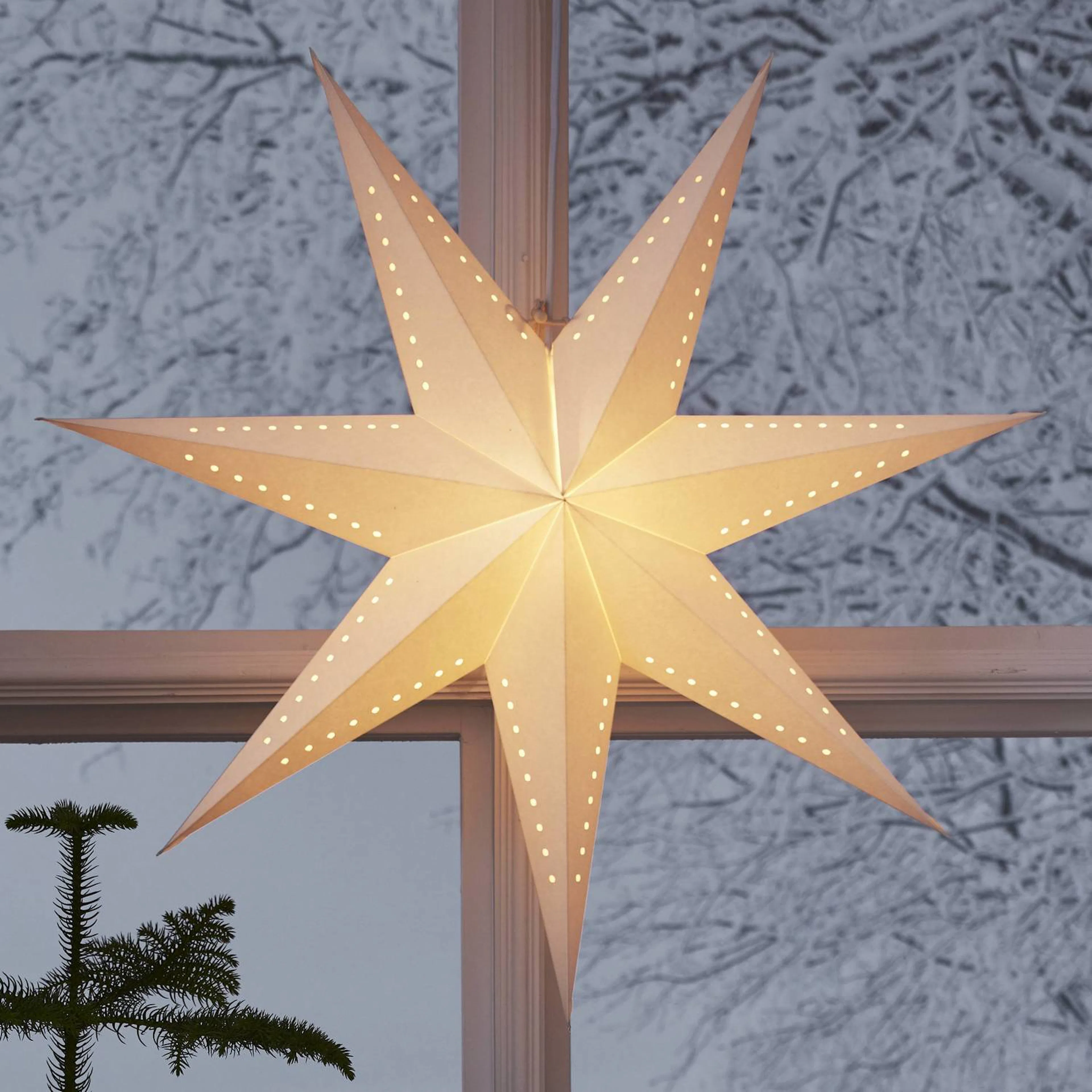 Adventsstjärna Star Trading Mika Papperstjärna